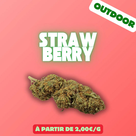 Strawberry (Greenhouse) EASYQUAL CBD SHOP