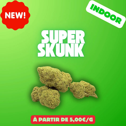 Super skunk (Indoor) EASYQUAL CBD SHOP