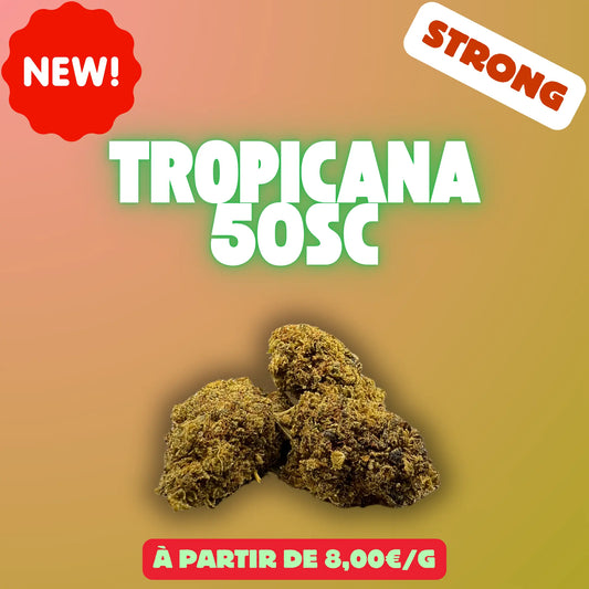 Tropicana 50sc (Greenhouse) EASYQUAL CBD SHOP
