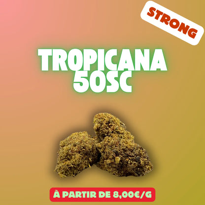Tropicana 50sc (Greenhouse) EASYQUAL CBD SHOP
