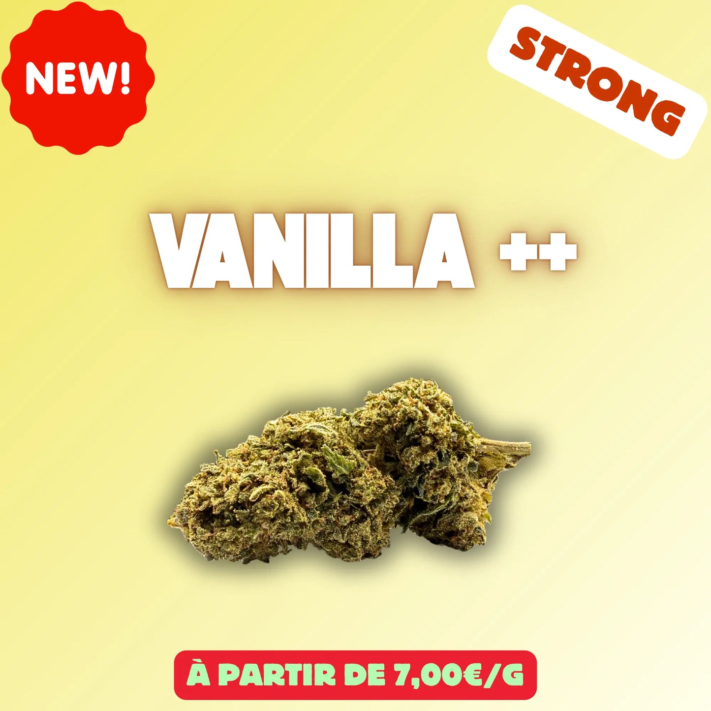 Vanilla ++ - Fleurs HIGH EFFECT EASYQUAL CBD SHOP