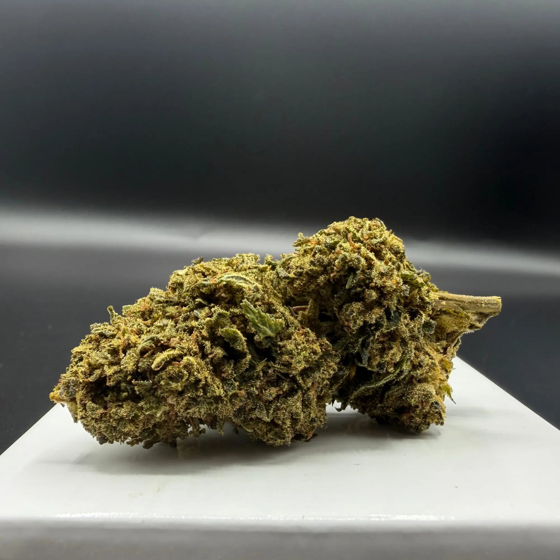 Vanilla ++ - Fleurs HIGH EFFECT EASYQUAL CBD SHOP