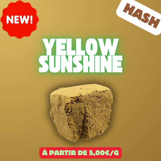 Yellow sunshine (Résine) EASYQUAL CBD SHOP